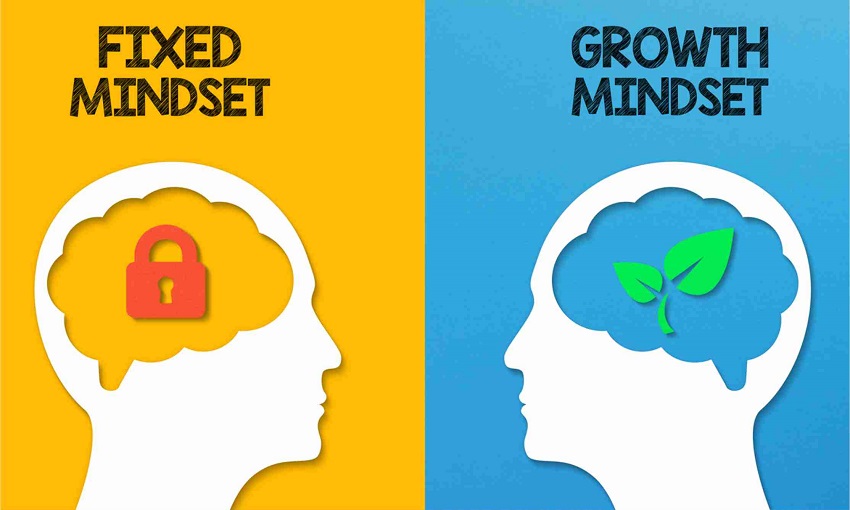 Growth Mindset dan Transformasi Positif - AnakPanah.id